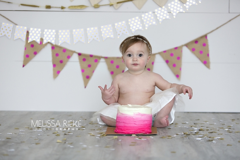 Pink and Gold First Birthday Photos Kansas City Photographer Melissa Rieke Photography 